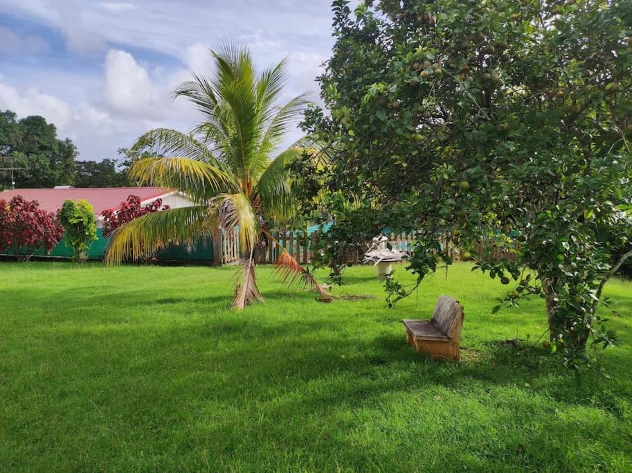 Villa Familiale Avec Piscine Le Marin Экстерьер фото